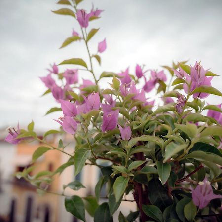 La Terrazza Dei Gemelli - Casa Vacanze Venosa Extérieur photo